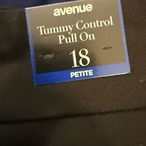 Avenue Black Tummy Control Pants